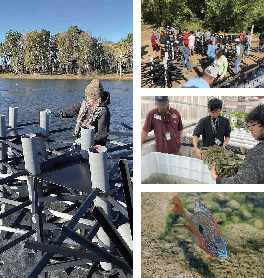 The Northwest Arkansas Fish Habitat Alliance is dedicated to improving fish habitats in regional lakes and reservoirs. The organization collaborates with various partners, including high schools and community groups, to carry out habitat enhancement projects.